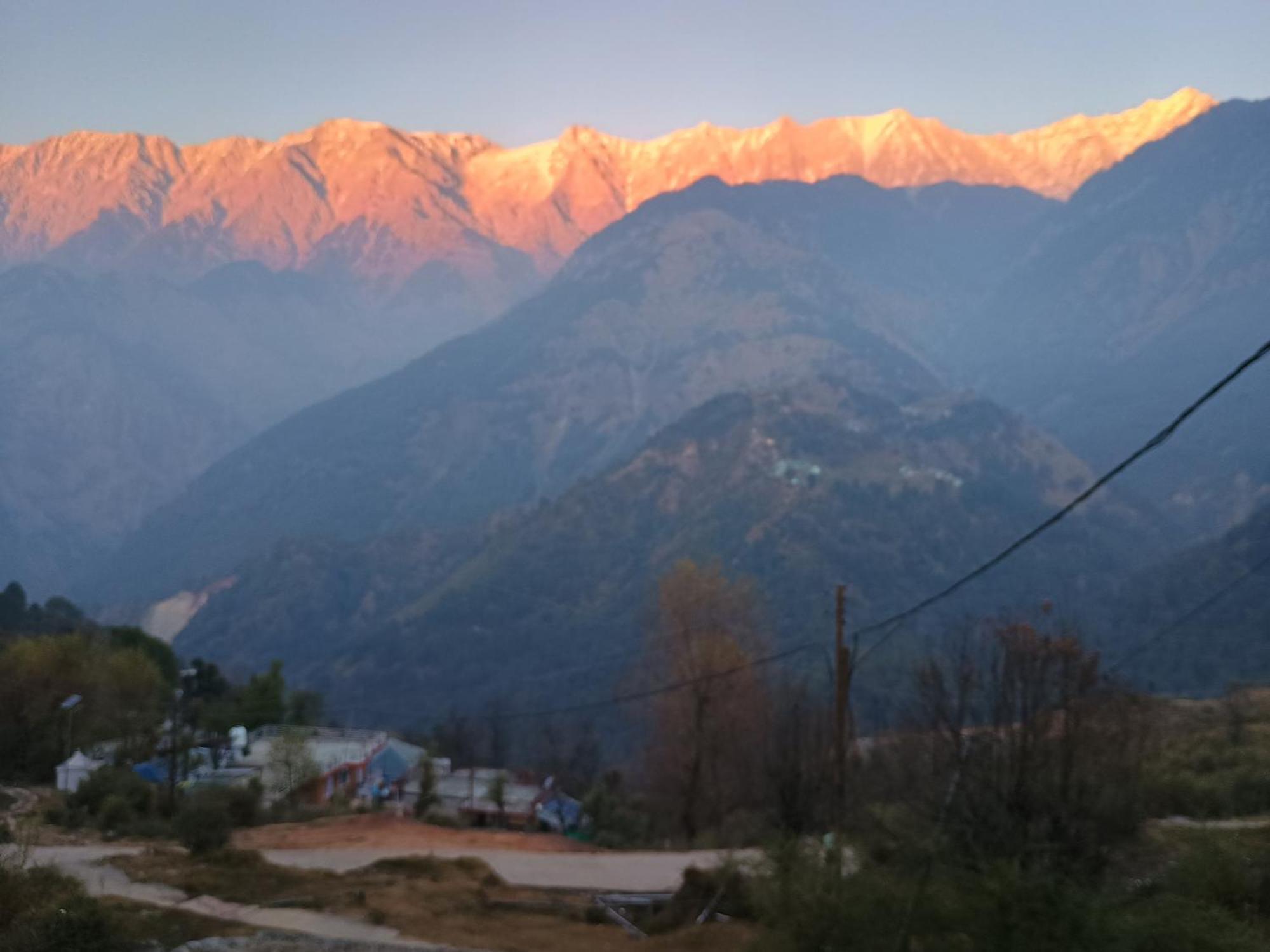 Mcleodganj Diaries Guest House Dharamshala Eksteriør billede
